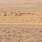 Ait Ben Haddou, una location da oscar - IMG 1466