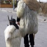 Su Carresecare in Otzana. Boes, Merdules e Sa Filonzana - 2898