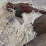 Su Carresecare in Otzana. Boes, Merdules e Sa Filonzana - 3046