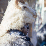 E dopo il martedì grasso, inizia il mercoledì delle faville - 3763