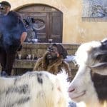 E dopo il martedì grasso, inizia il mercoledì delle faville - 3825