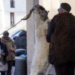 E dopo il martedì grasso, inizia il mercoledì delle faville - 3836