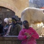 E dopo il martedì grasso, inizia il mercoledì delle faville - 3837