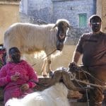 E dopo il martedì grasso, inizia il mercoledì delle faville - 3838