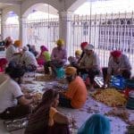 Delhi, l'alba dei morti viventi - web 3935 1