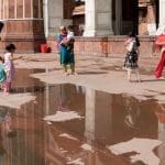 Delhi, l'alba dei morti viventi - web3146