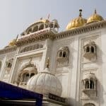 Delhi, l'alba dei morti viventi - web3931 1