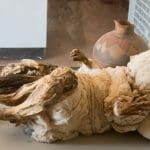 PERÙ. La necropoli di Chauchilla a Nasca. - IMG 2250