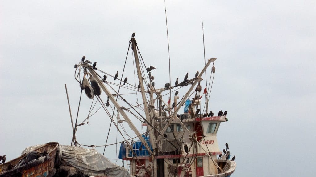 Paracas, il sole dopo mezzogiorno. - IMG 2111