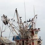 porto di pescatori a Paracas