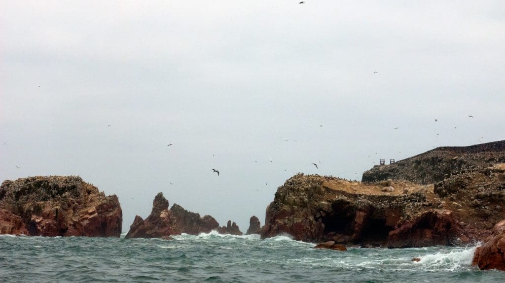 Paracas, il sole dopo mezzogiorno. - IMG 2143