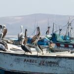 Porto di Paracas