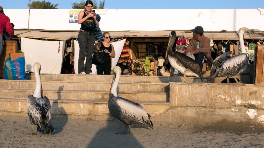 Paracas, il sole dopo mezzogiorno. - IMG 7291