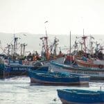 Porto di Paracas
