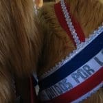 CILE. La Virgen del Carmen a la Tirana. - IMG 6116