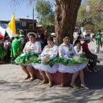 CILE. La Virgen del Carmen a la Tirana. - MG 0942