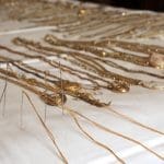 Castelvetere Santa Maria delle Grazie