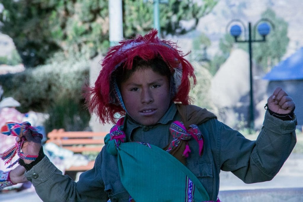 PERU’. Riserva Nazionale Salinas y Aguada Blanca - MG 3806 1