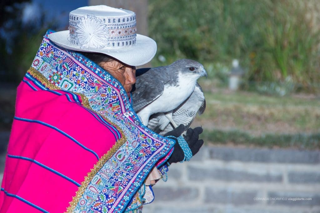 PERU’. Riserva Nazionale Salinas y Aguada Blanca - MG 3820 1