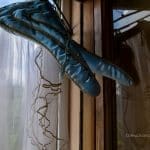 Rutino, il volo dell'Angelo - A6A9859