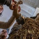 Rutino, il volo dell'Angelo - IMG 9161