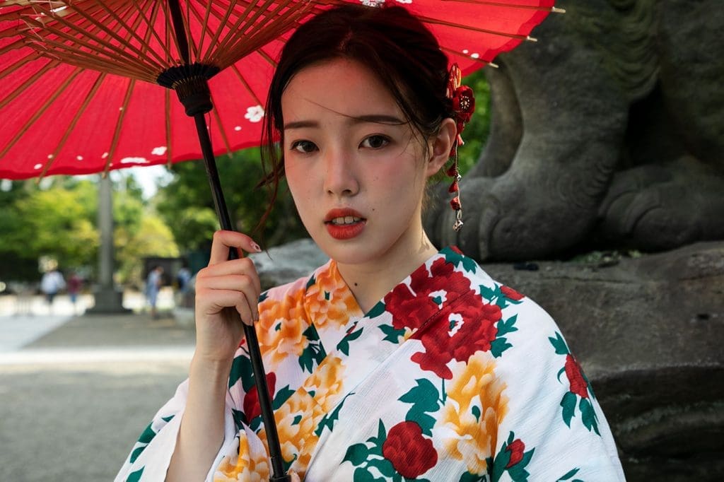 Geishe per le strade del Giappone