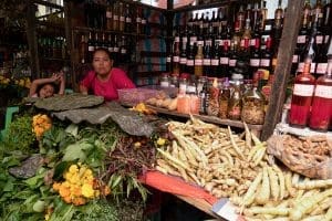 Iquitos, Amazzonia peruviana